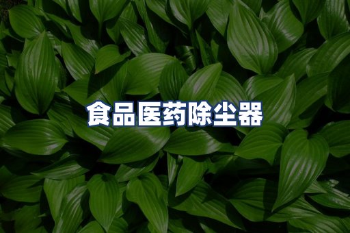 食品医药除尘器